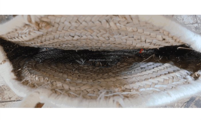 Handbag Portrait - Image 4
